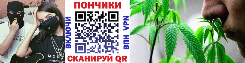 Наркошоп купить ГАШ СОЛЬ Мефедрон Канабис Гаврилов Посад