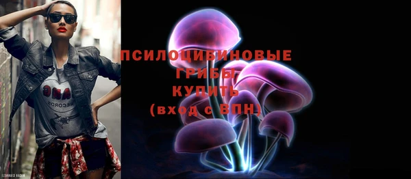 амф Балахна