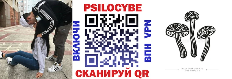 Купить  Гаврилов Посад  Псилоцибиновые грибы GOLDEN TEACHER 